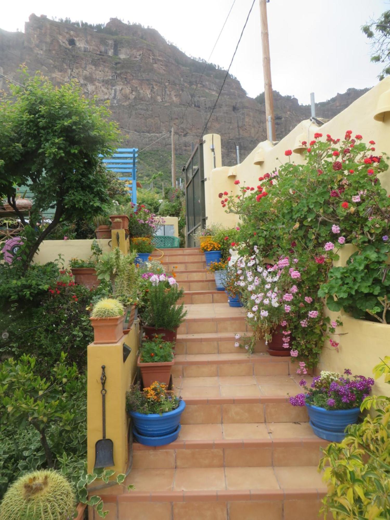 Finca Cortez Apartment 4 San Bartolomé Buitenkant foto